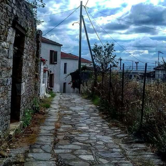 Atrium - Lafkos Villa Esterno foto